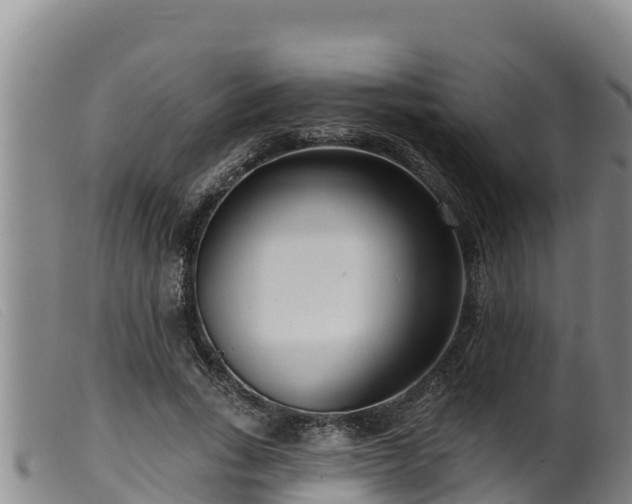 X0000099540735200805231126