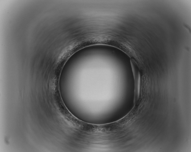 X0000099540736200805231126