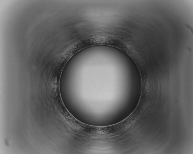 X0000099540737200805231126