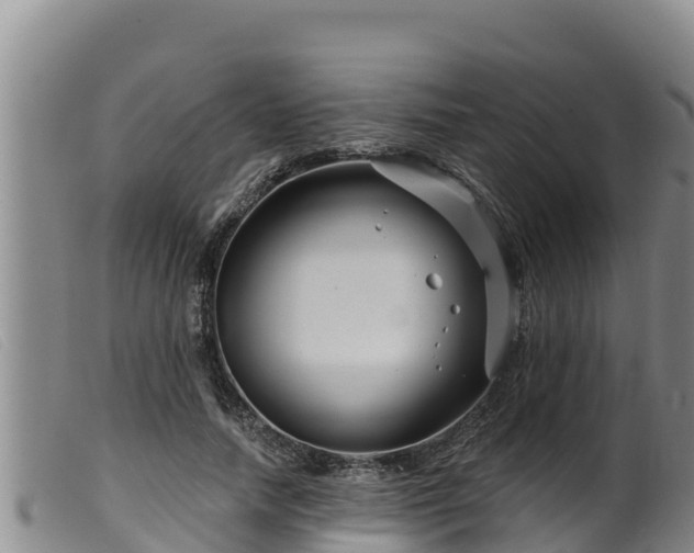 X0000099540738200805231126