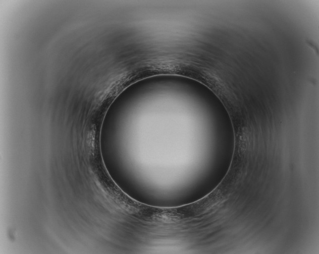 X0000099540739200805231126