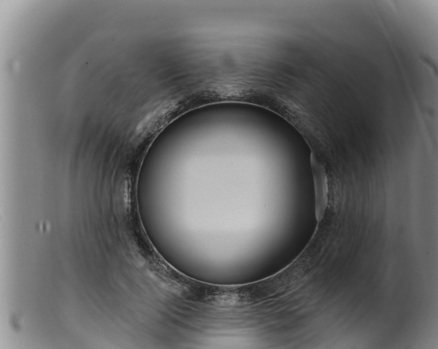 X0000099540740200805231126