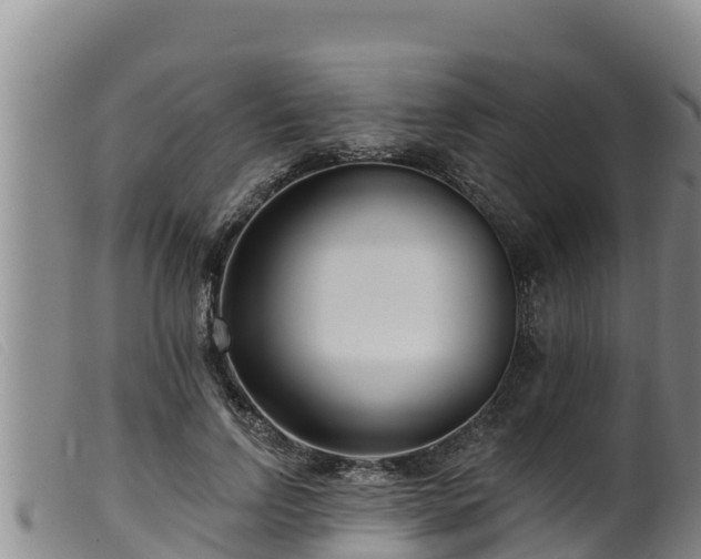 X0000099540742200805231126