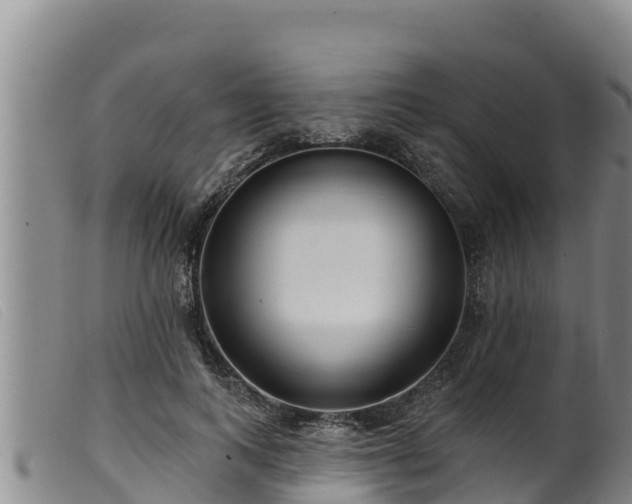 X0000099540743200805231126