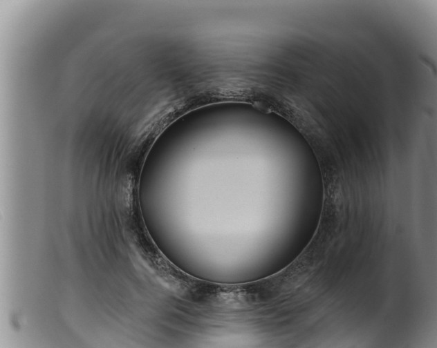 X0000099540744200805231126