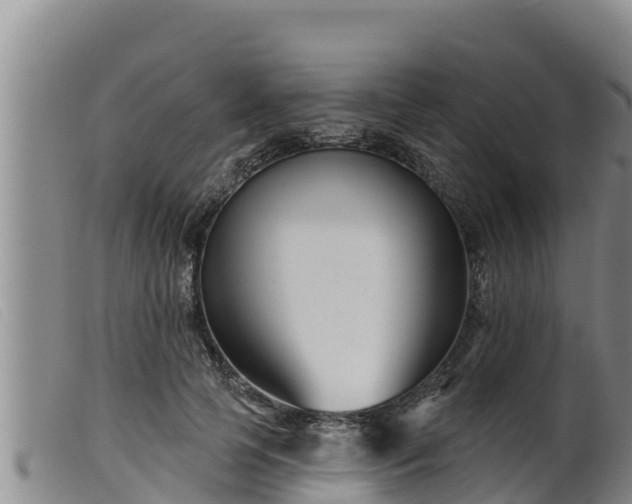 X0000099540745200805231126