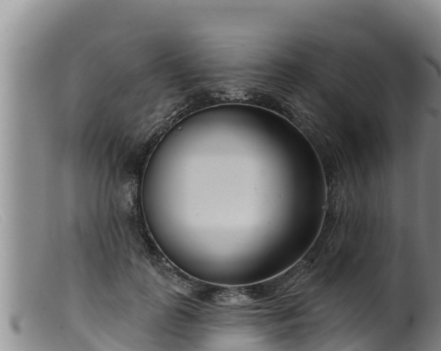 X0000099540747200805231126