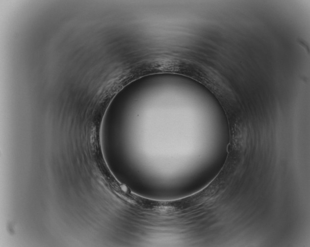 X0000099540748200805231127