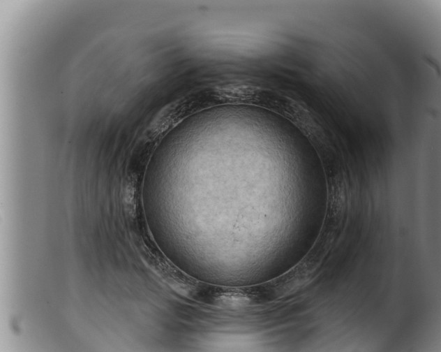 X0000099540749200805231127