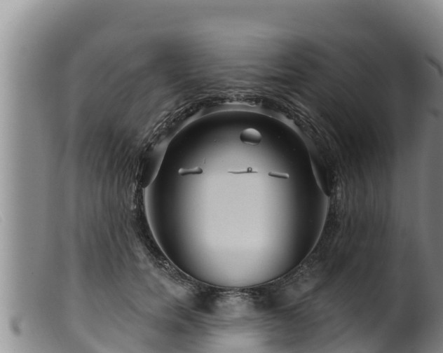 X0000099540750200805231127