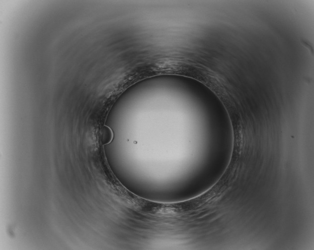 X0000099540751200805231127