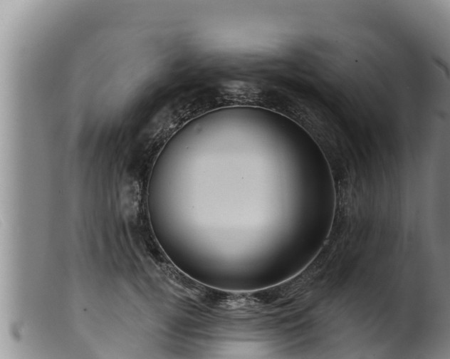 X0000099540752200805231127