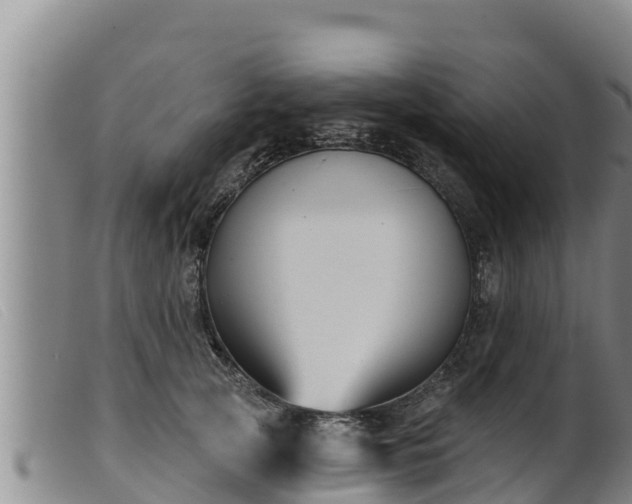 X0000099540753200805231127