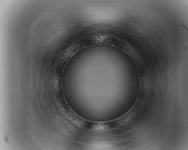 X0000099540754200805231127