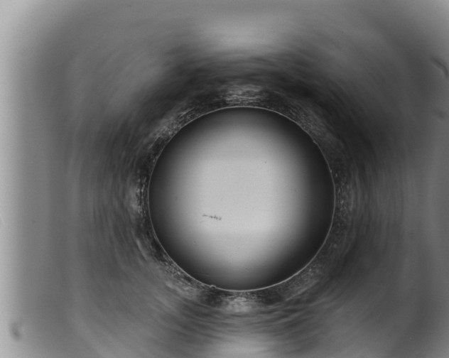 X0000099540755200805231127