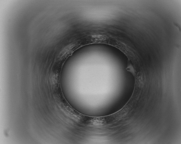 X0000099540756200805231127