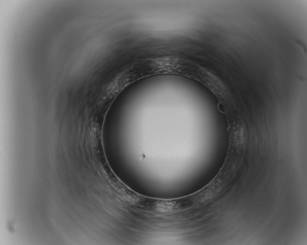 X0000099540757200805231127