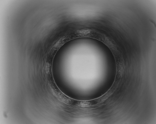 X0000099540758200805231127