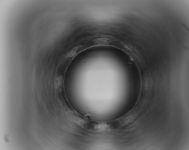 X0000099540759200805231127