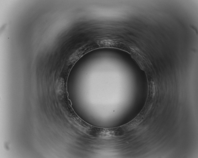 X0000099540760200805231127