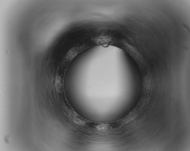 X0000099540761200805231127