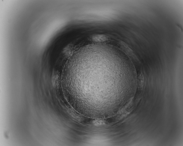 X0000099540762200805231127