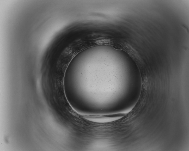 X0000099540763200805231127