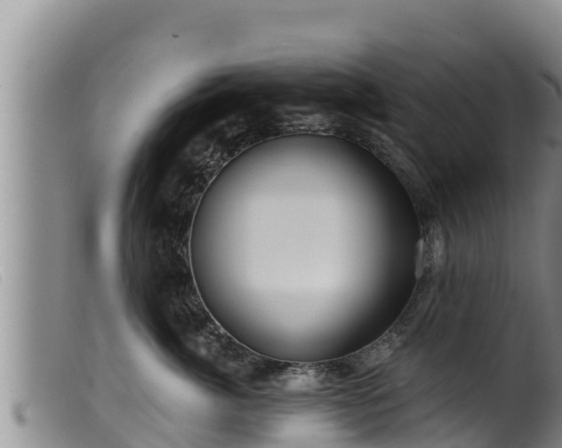 X0000099540764200805231127