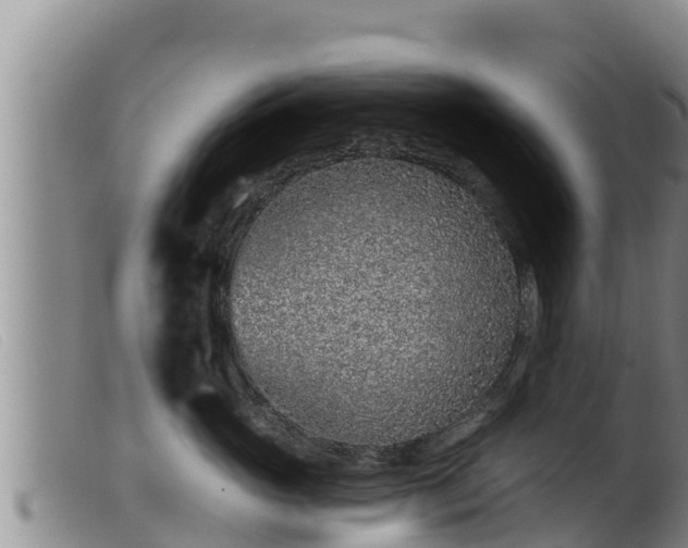 X0000099540765200805231127