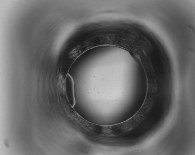 X0000099540766200805231127