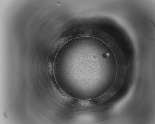 X0000099540767200805231127