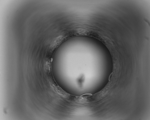 X0000099540768200805231127