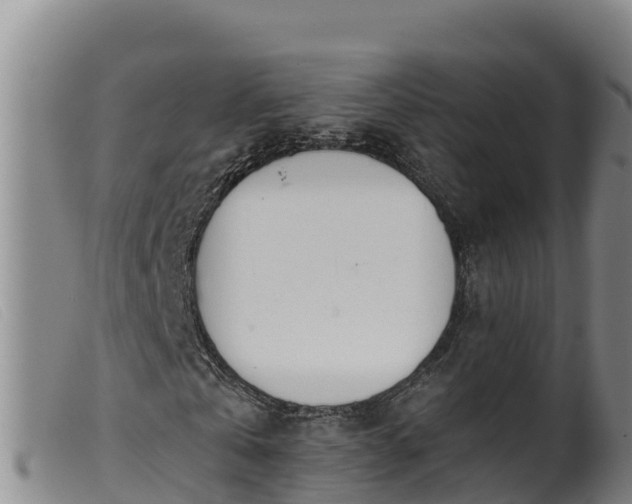 X0000099540769200805231126