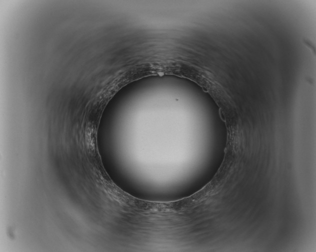 X0000099540770200805231126