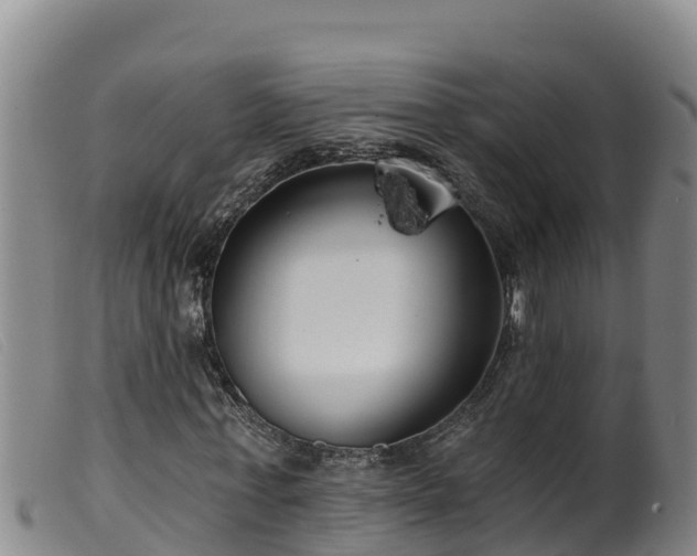 X0000099540771200805231126