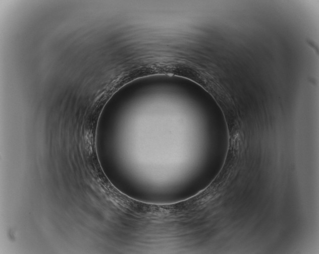 X0000099540772200805231126