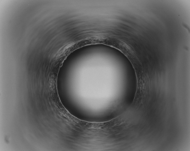 X0000099540773200805231126