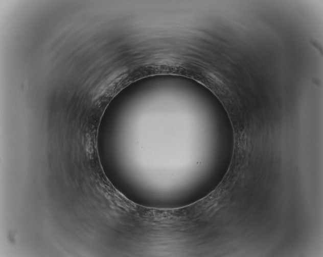 X0000099540774200805231126