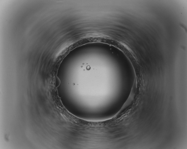 X0000099540775200805231126