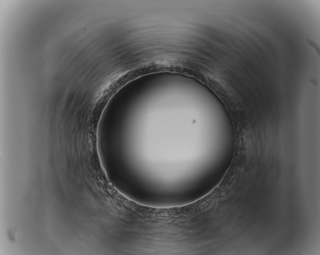 X0000099540776200805231126