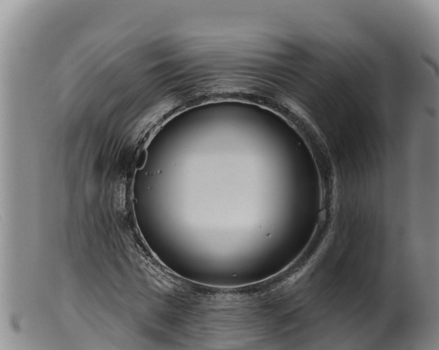 X0000099540777200805231126