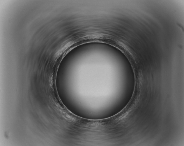 X0000099540778200805231126