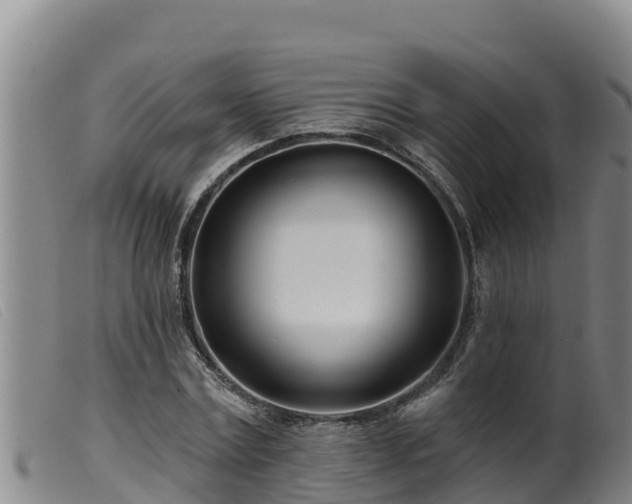 X0000099540779200805231126