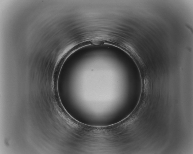 X0000099540780200805231126