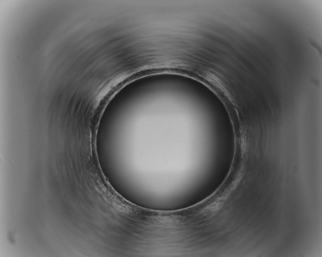 X0000099540781200805231126