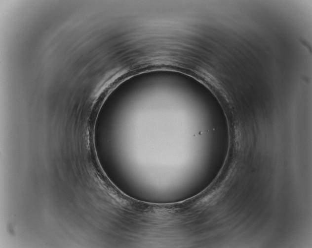 X0000099540782200805231126