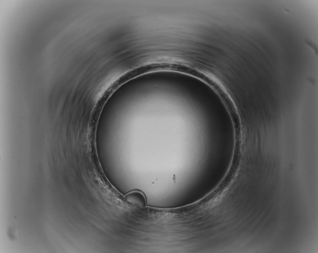 X0000099540783200805231126