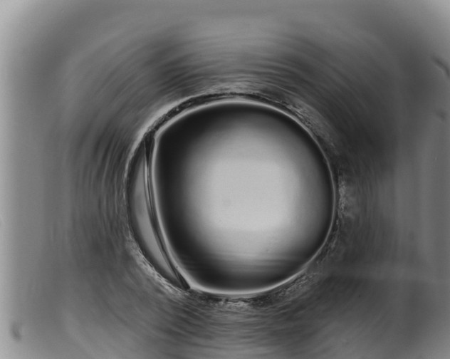 X0000099540784200805231126