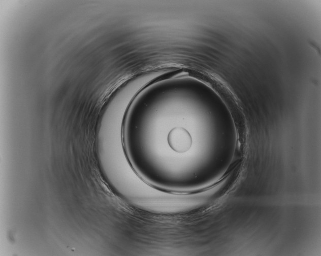 X0000099540785200805231126