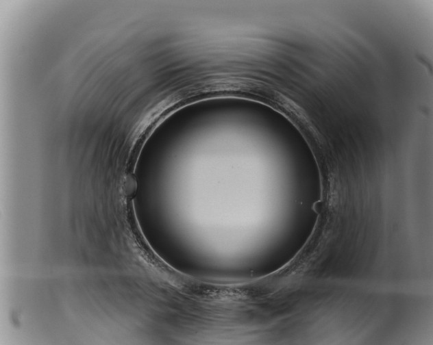 X0000099540786200805231126